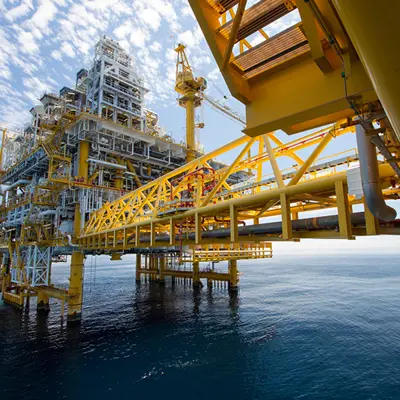 Stainless Steel Nordic Wire Tray 800X530